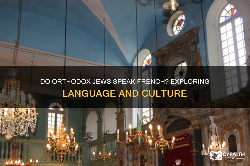 do orthodox jews speak french