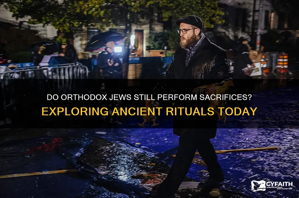 do orthodox jews still do the sacrifices