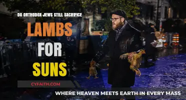 Do Orthodox Jews Still Sacrifice Lambs for Sin? Exploring Modern Practices