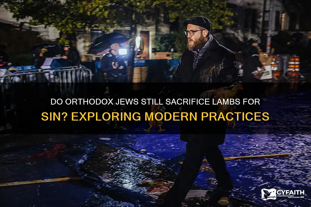do orthodox jews still sacrifice lambs for suns