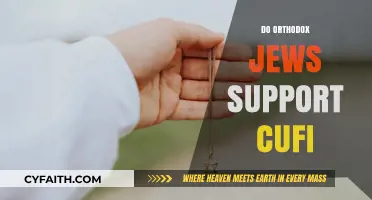 Orthodox Jewish Perspective on CUFI: Support or Disagreement Explored