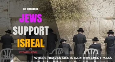 Orthodox Jewish Support for Israel: Beliefs, Practices, and Perspectives