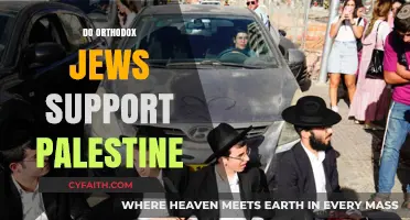 Orthodox Jewish Perspectives on Palestine: Exploring Diverse Views and Beliefs