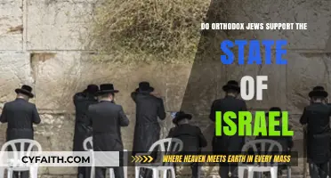 Orthodox Jewish Perspectives on Supporting the State of Israel