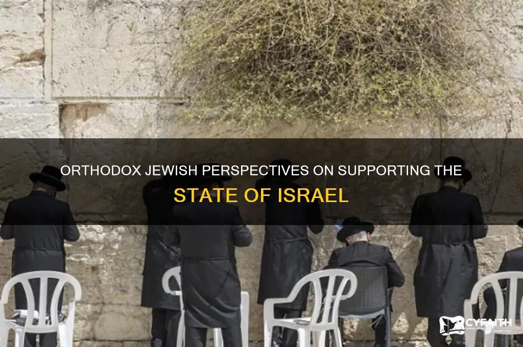 do orthodox jews support the state of israel