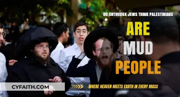 Orthodox Jewish Views on Palestinians: Debunking the 'Mud People' Myth
