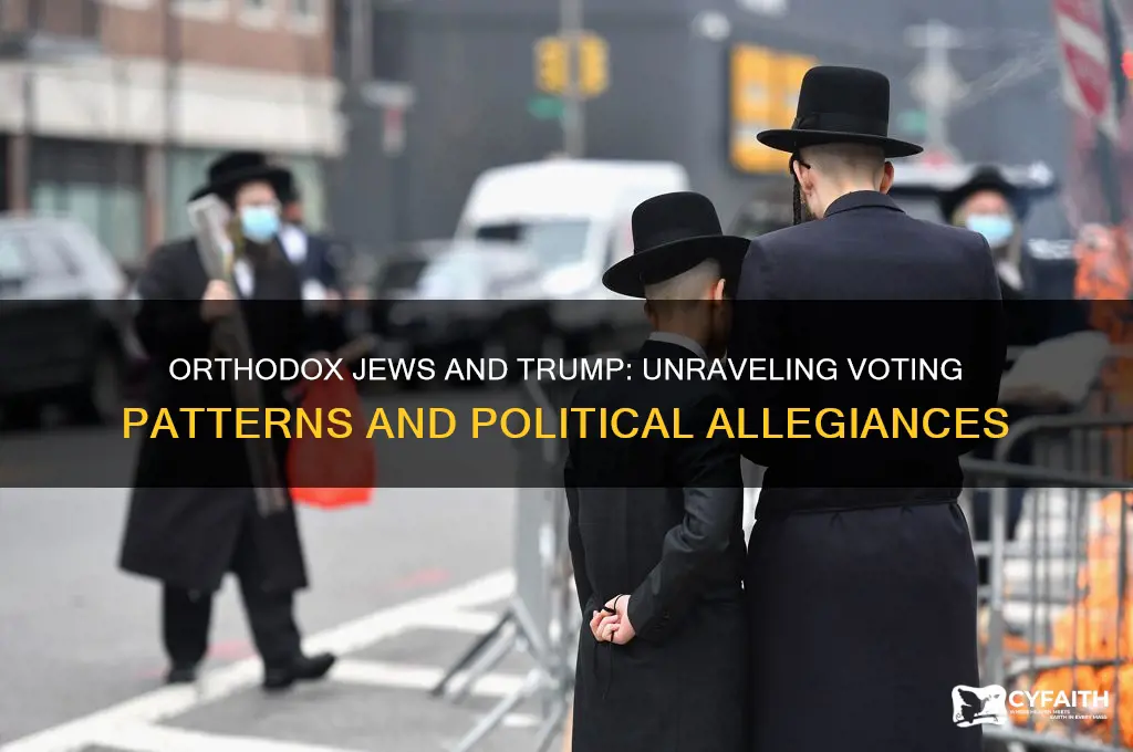 do orthodox jews vote for trump