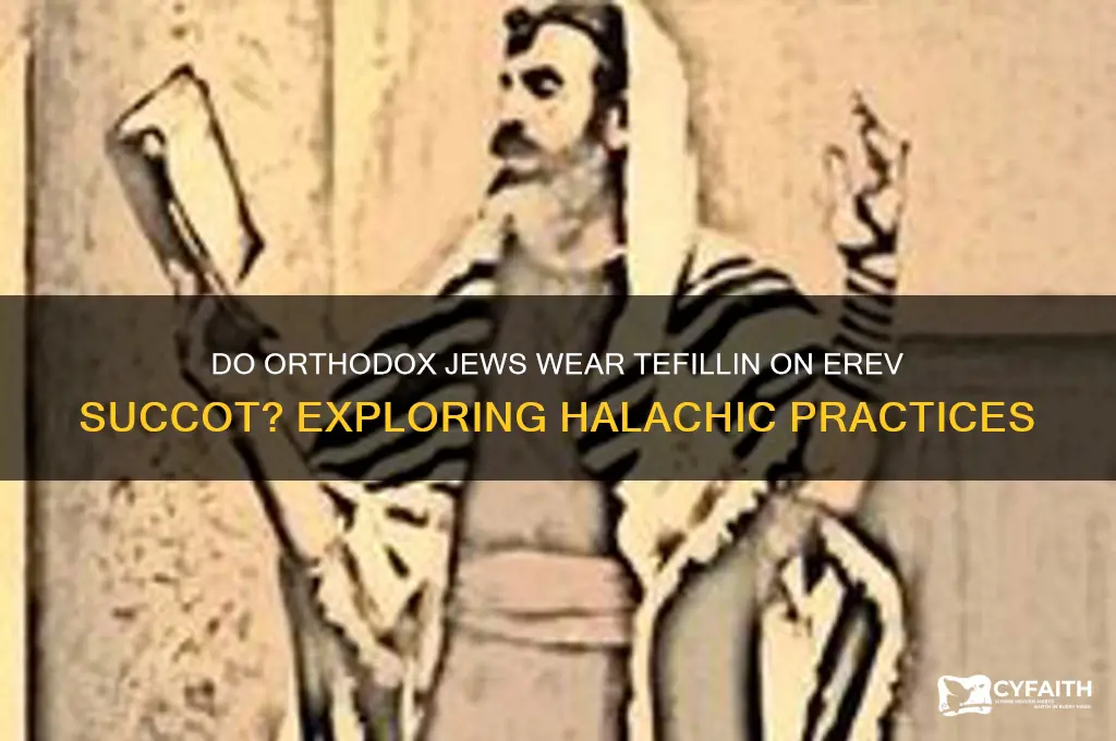 do orthodox jews wear tefillin on erev succut