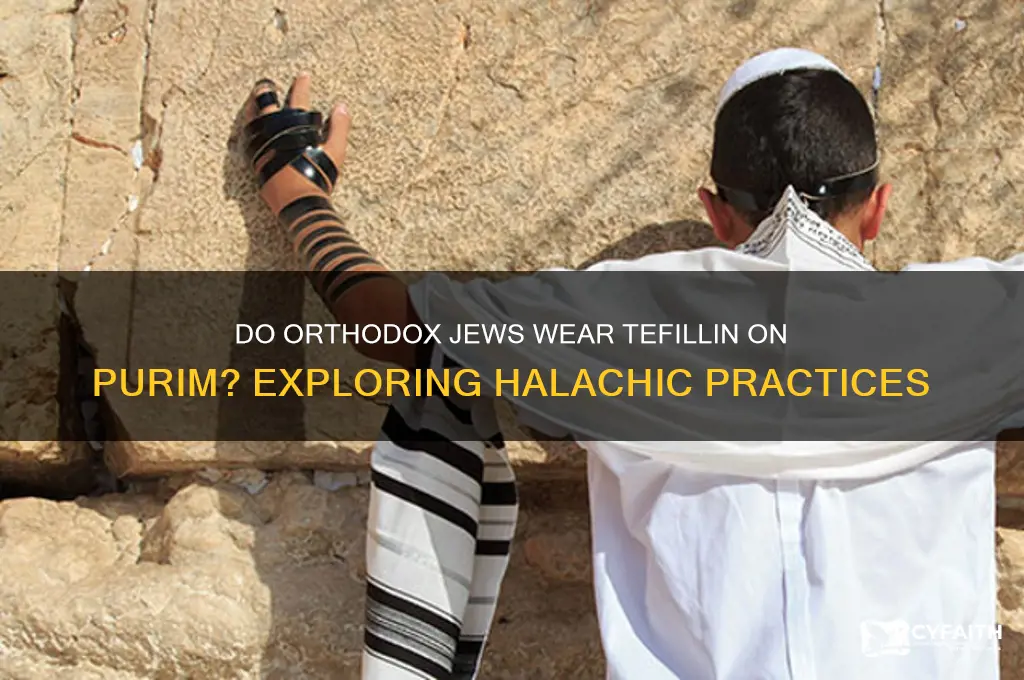 do orthodox jews wear tefillin on purim