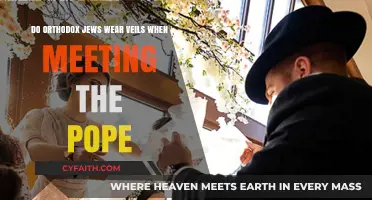 Orthodox Jewish Veil Traditions: Meeting the Pope Explained