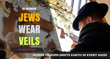 Orthodox Jewish Veiling Practices: Traditions, Significance, and Modern Observance