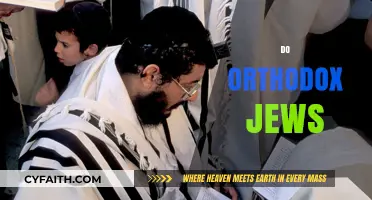 Understanding Orthodox Jewish Practices, Beliefs, and Daily Life