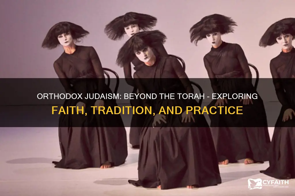 do orthodox judaism only focus on torah