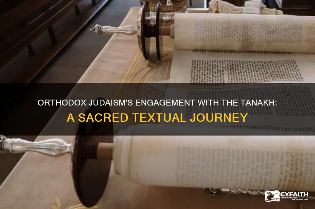 do orthodox judaism read the tanakh