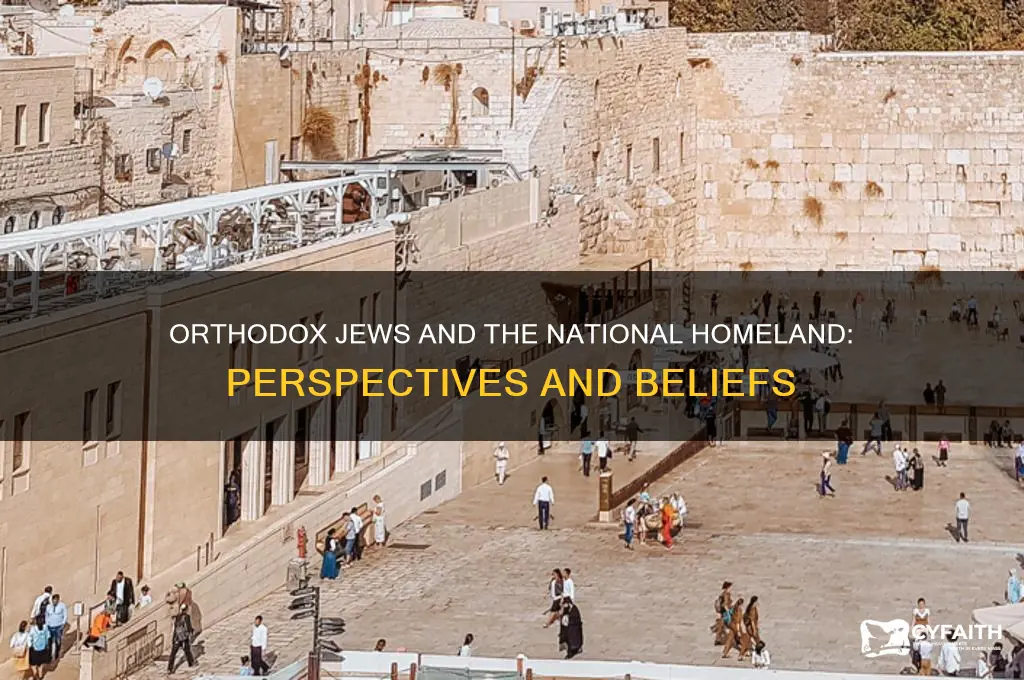 do orthodox juews support national homeland