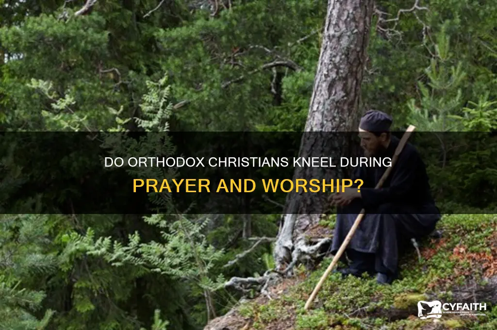 do orthodox kneel