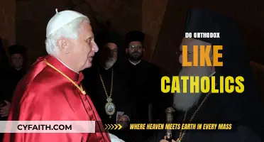 Orthodox and Catholics: Shared Beliefs, Distinct Practices, and Mutual Respect