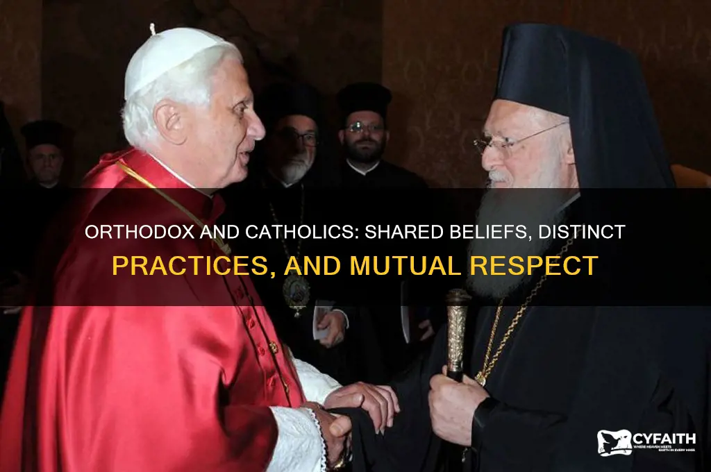 do orthodox like catholics