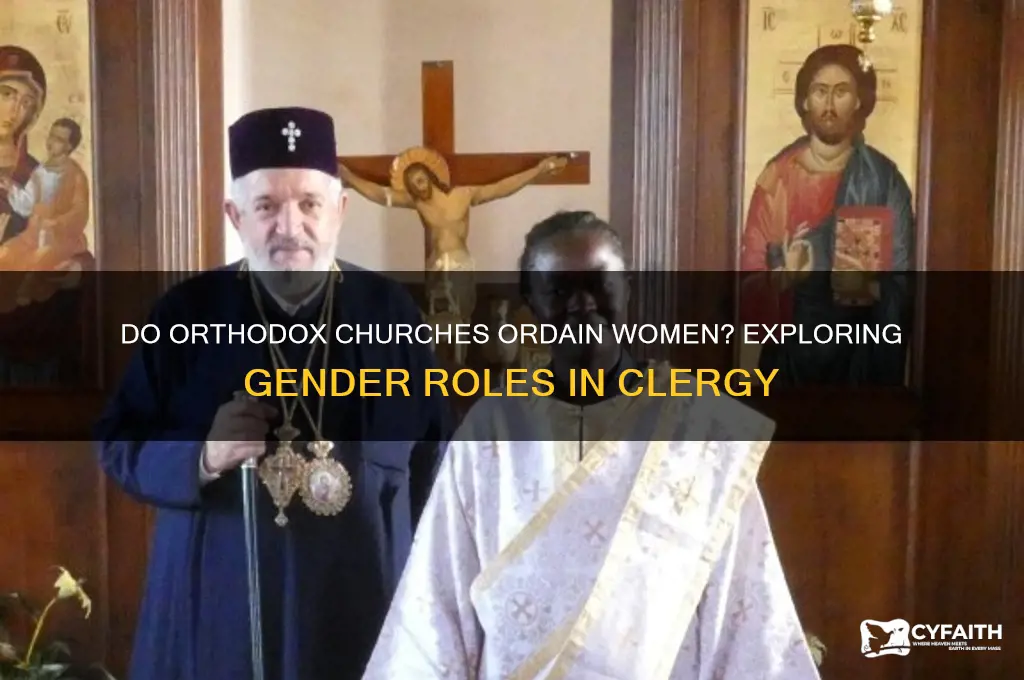 do orthodox ordain women