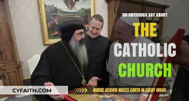Orthodox Perspectives on the Catholic Church: Unity, Differences, and Dialogue