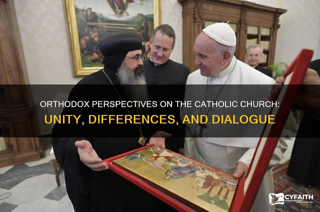 do orthodox say about the catholic church