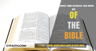 Did Catholics Remove Books from the Bible? Orthodox Perspectives Explored