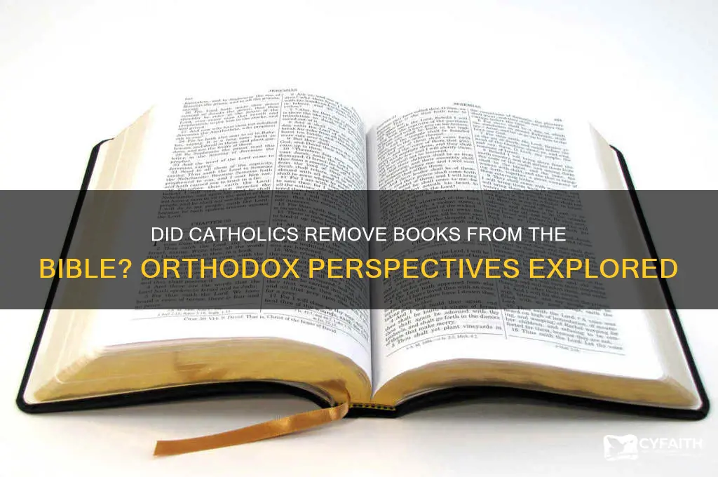 do orthodox think catholics took books out of the bible