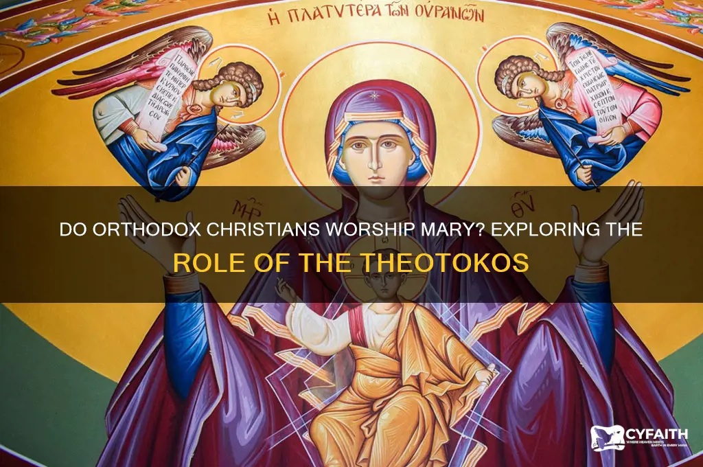 do orthodox worship mary