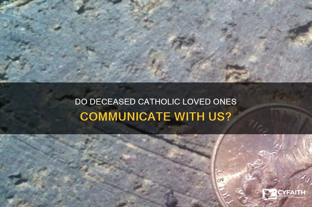 do our deceased catholic loved ones communicate with us