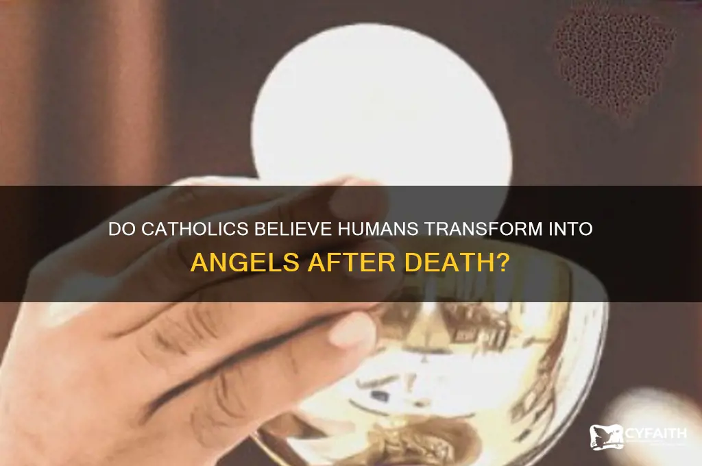 do people become angels catholic