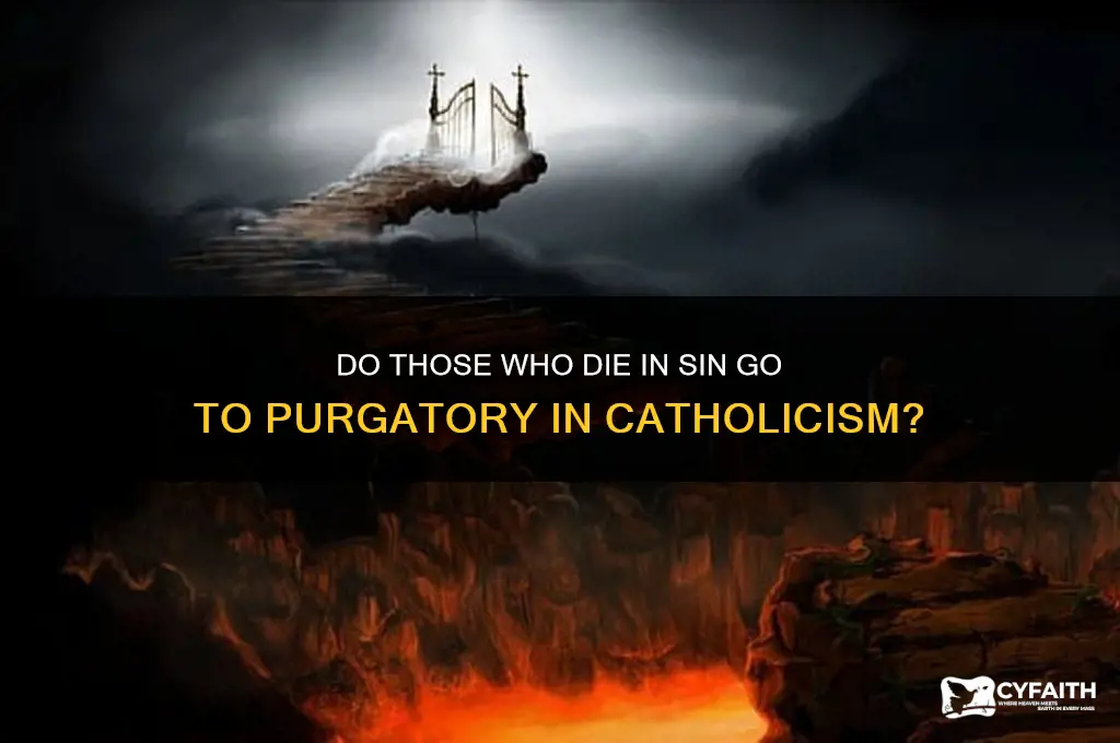do people that died in sin go to purgatory catholic