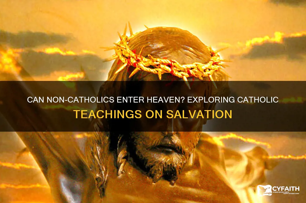 do peoplw from other religions go to heaven catholic