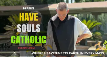Do Plants Have Souls? Exploring Catholic Perspectives on Botanical Spirituality