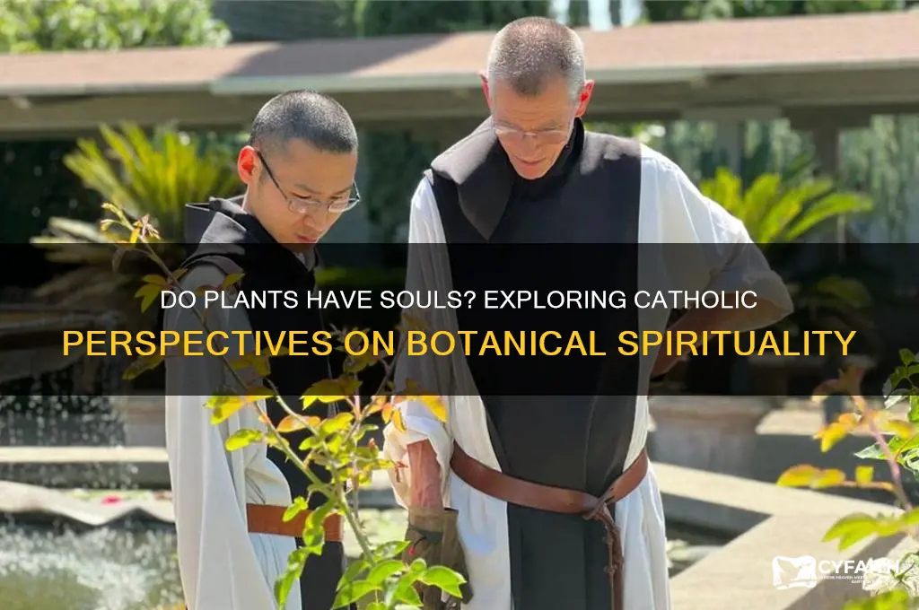 do plants have souls catholic