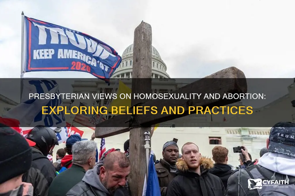 do presbyterian believe in homosexuality and abortion
