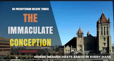 Presbyterian Views on Immaculate Conception: Beliefs and Theological Insights
