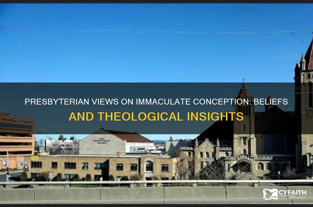 do presbyterian believe things the immaculate conception