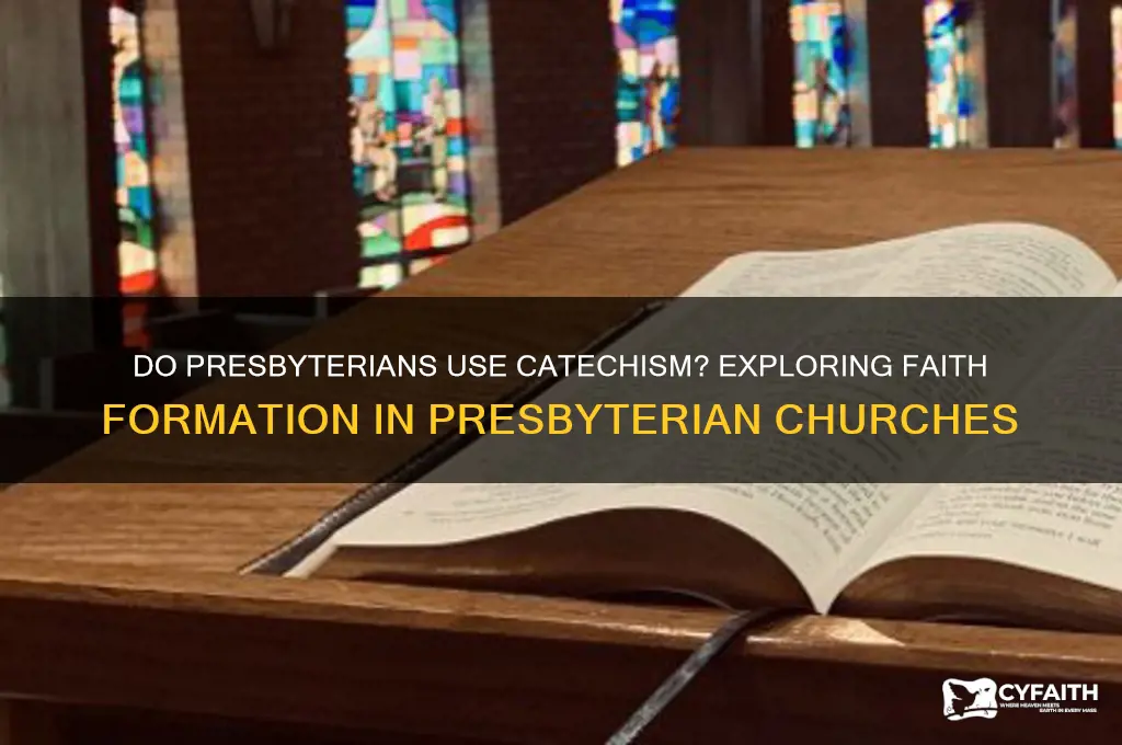 do presbyterian churches have catechism