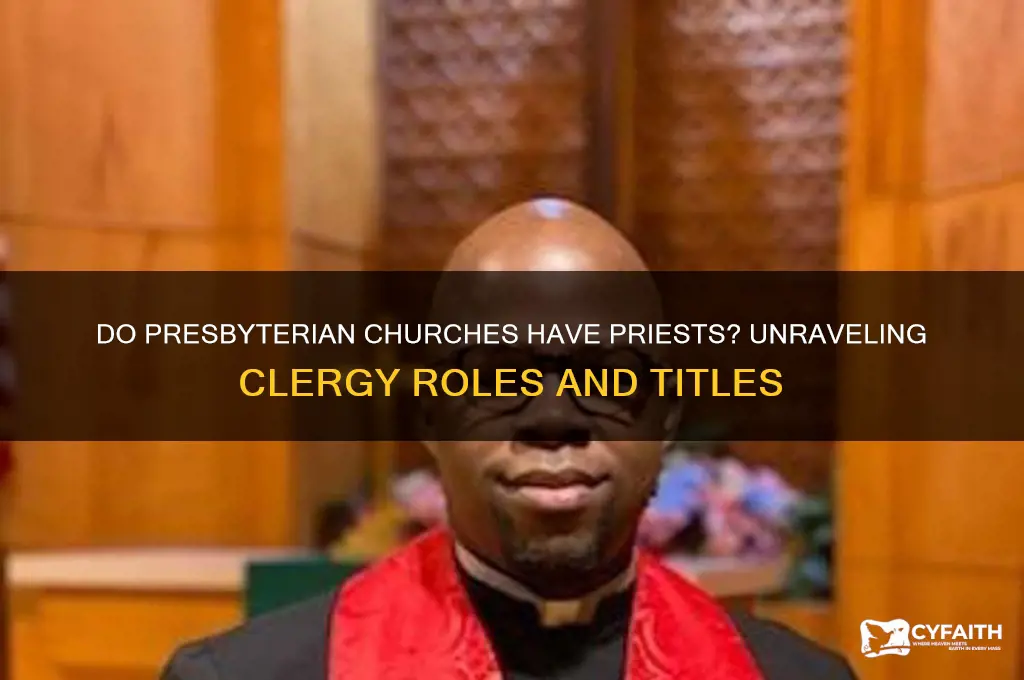 do presbyterian churches have priests