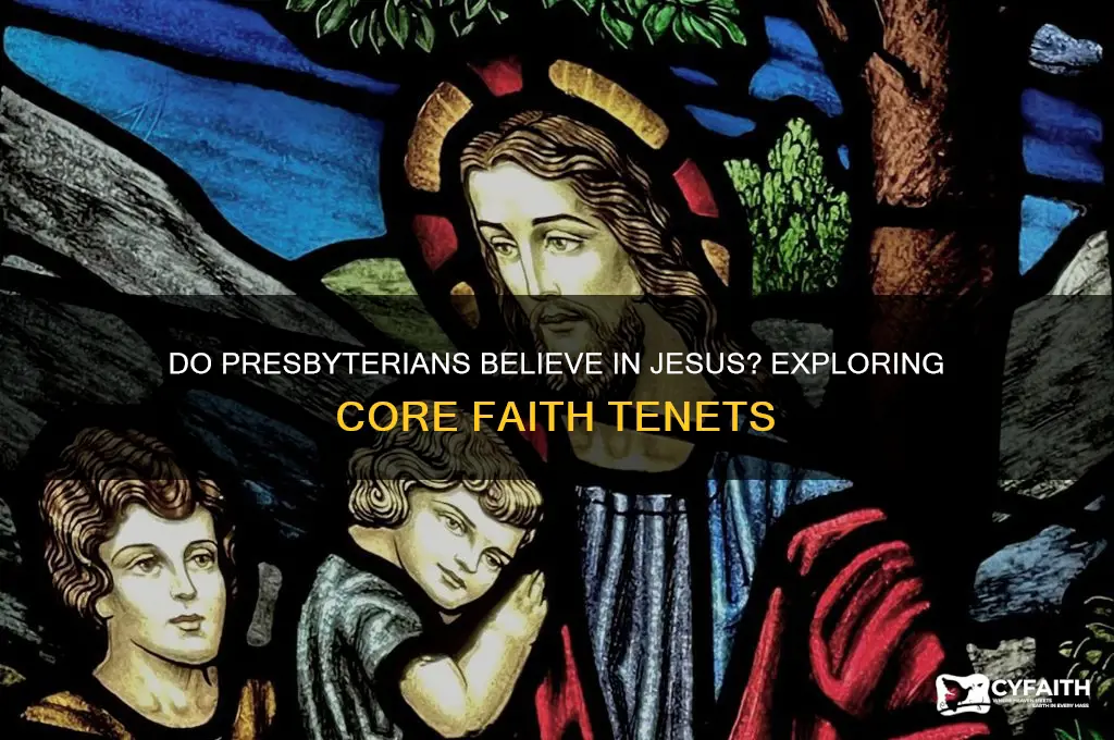 do presbyterians believe in jesus