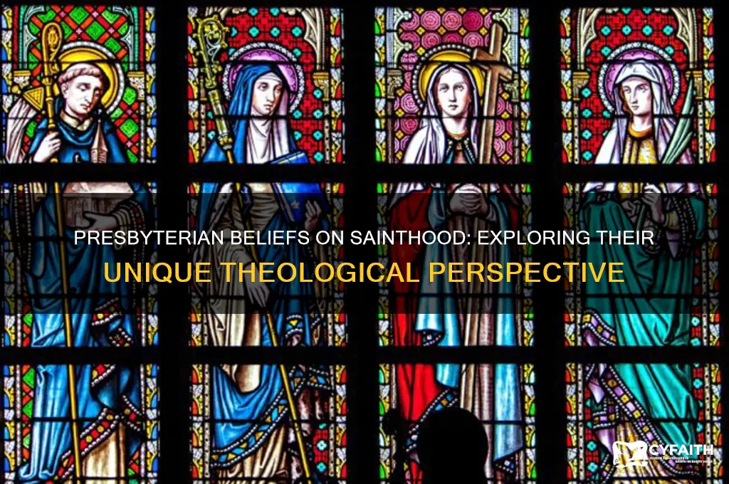 do presbyterians believe in saints