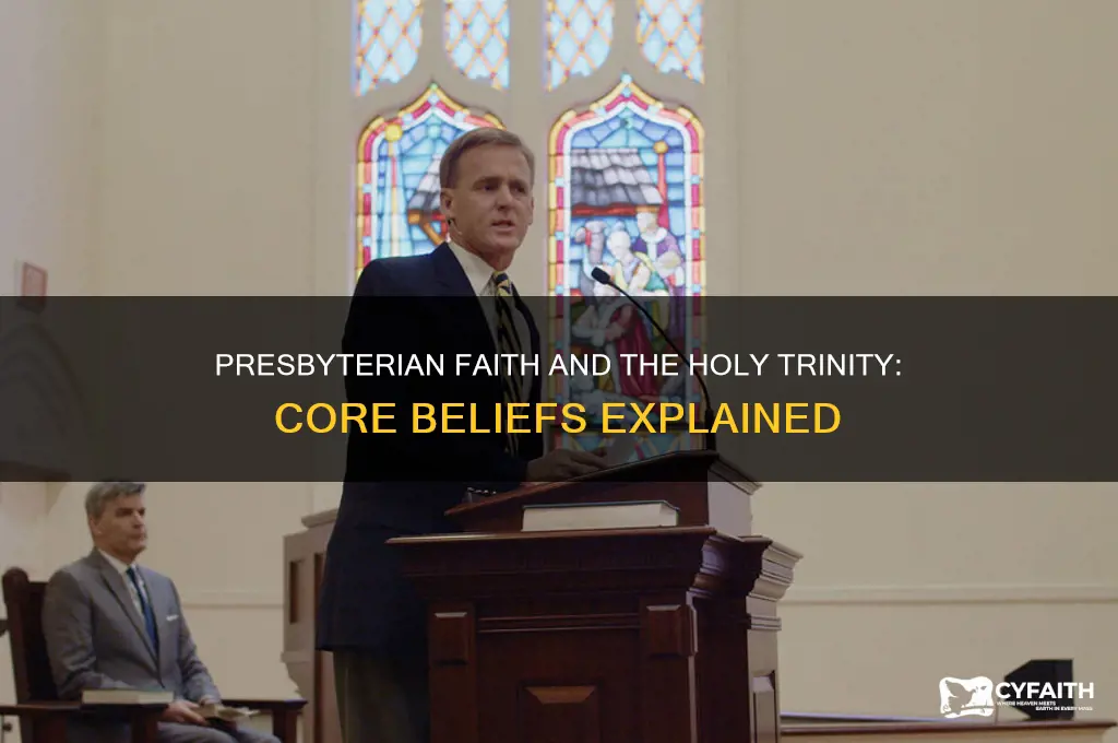 do presbyterians believe in the holy trinity