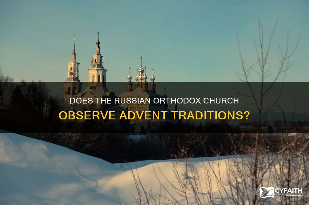 do russian orthodox have advent