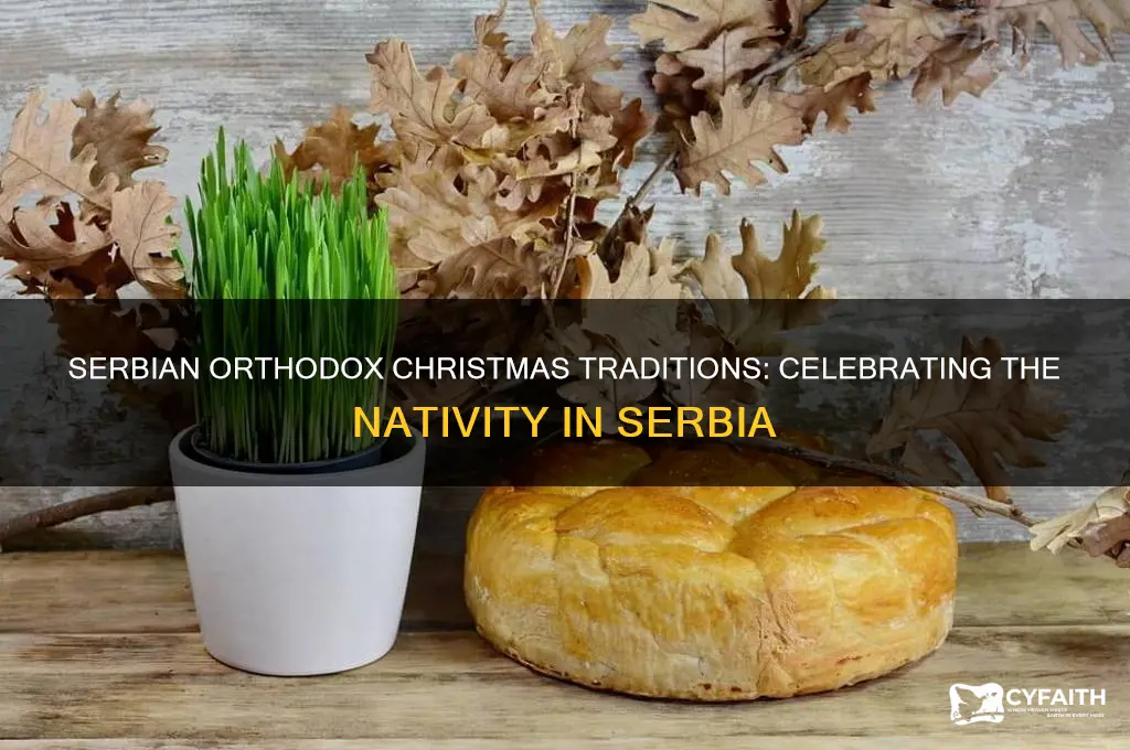 do serbian orthodox celebrate christmas