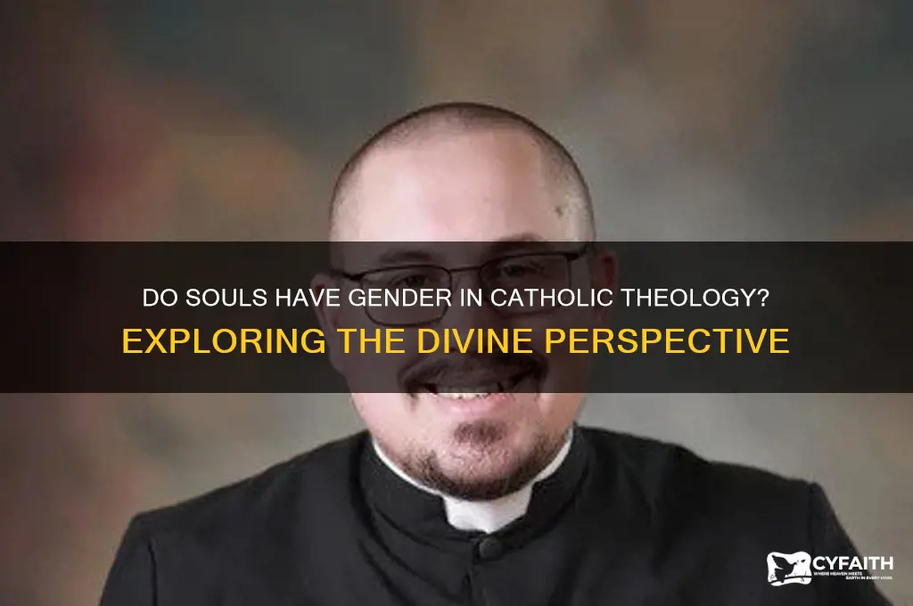 do souls have gender catholic