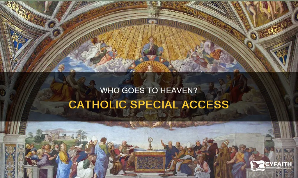 do special people go to heaven catholic
