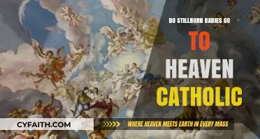 Where Do Stillborn Babies Go in Catholic Heaven?