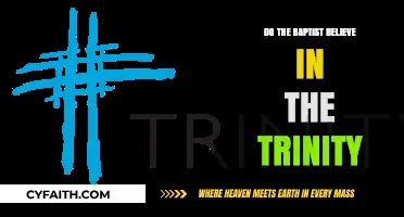 Exploring the Baptist Perspective on the Trinity Doctrine