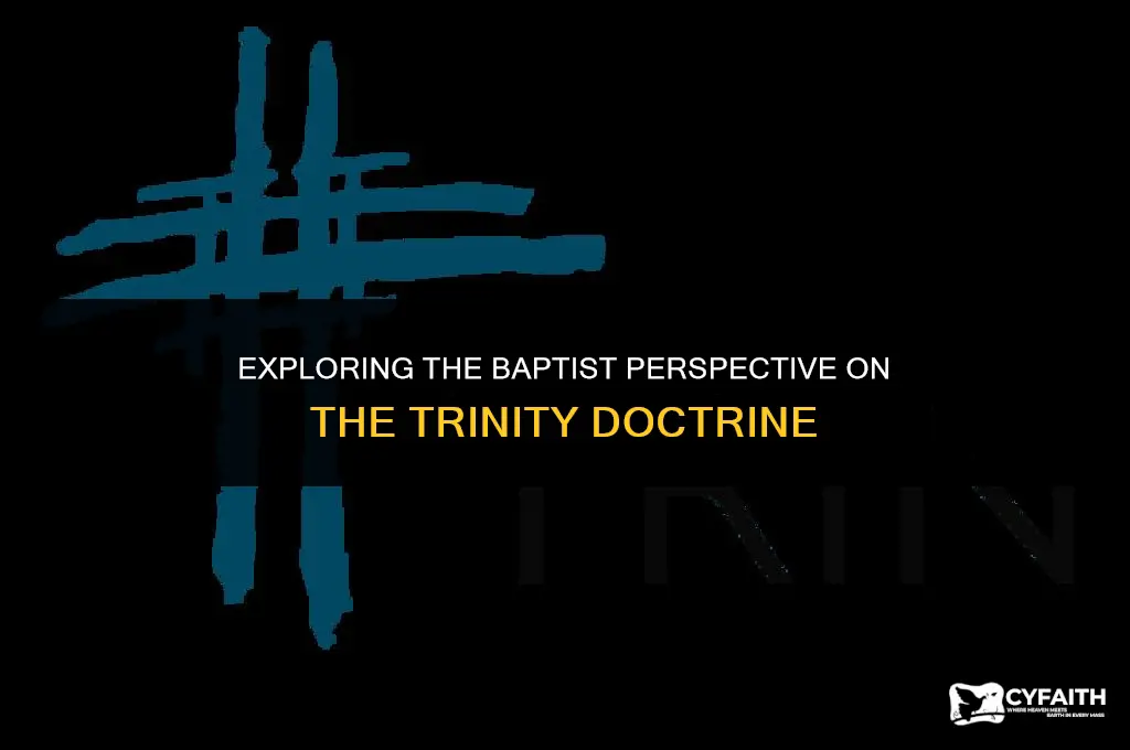 do the baptist believe in the trinity
