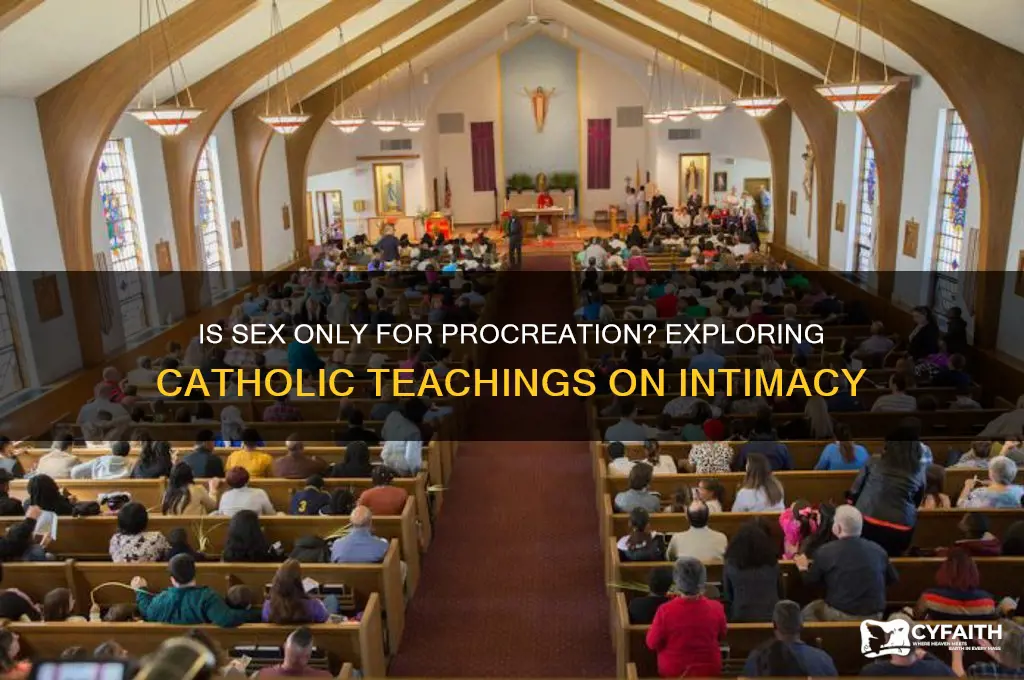 do the catholics think sex is just for making children